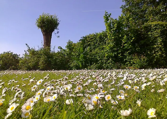 De Garage Bed & Breakfast 3*