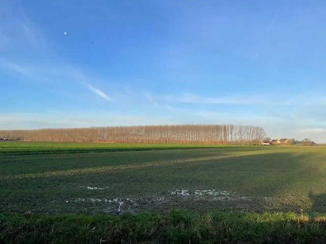 Couette-café De Garage